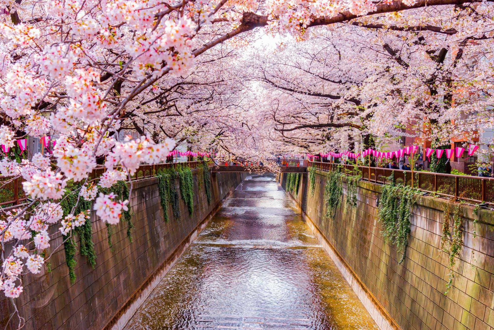 The Westin Tokyo — Foto’s 1